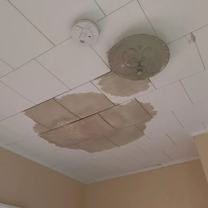 Ceiling Water Damage Repair in Waxahachie, TX